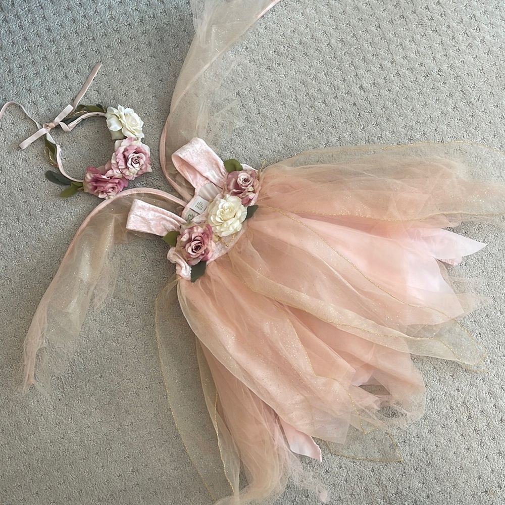 Girls GORGEOUS Fairy Costume